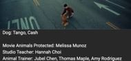 Animal protection credit below the MV. (Image via YouTube/HYBE LABELS)